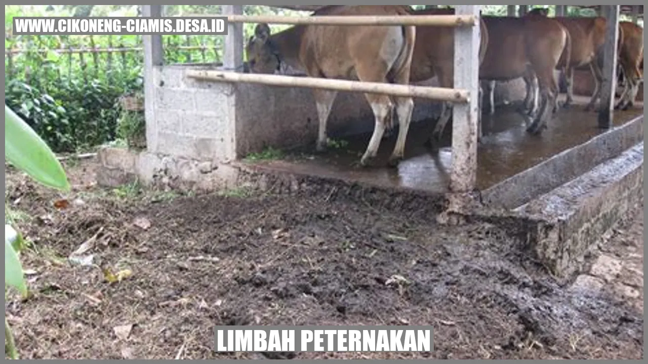 limbah peternakan